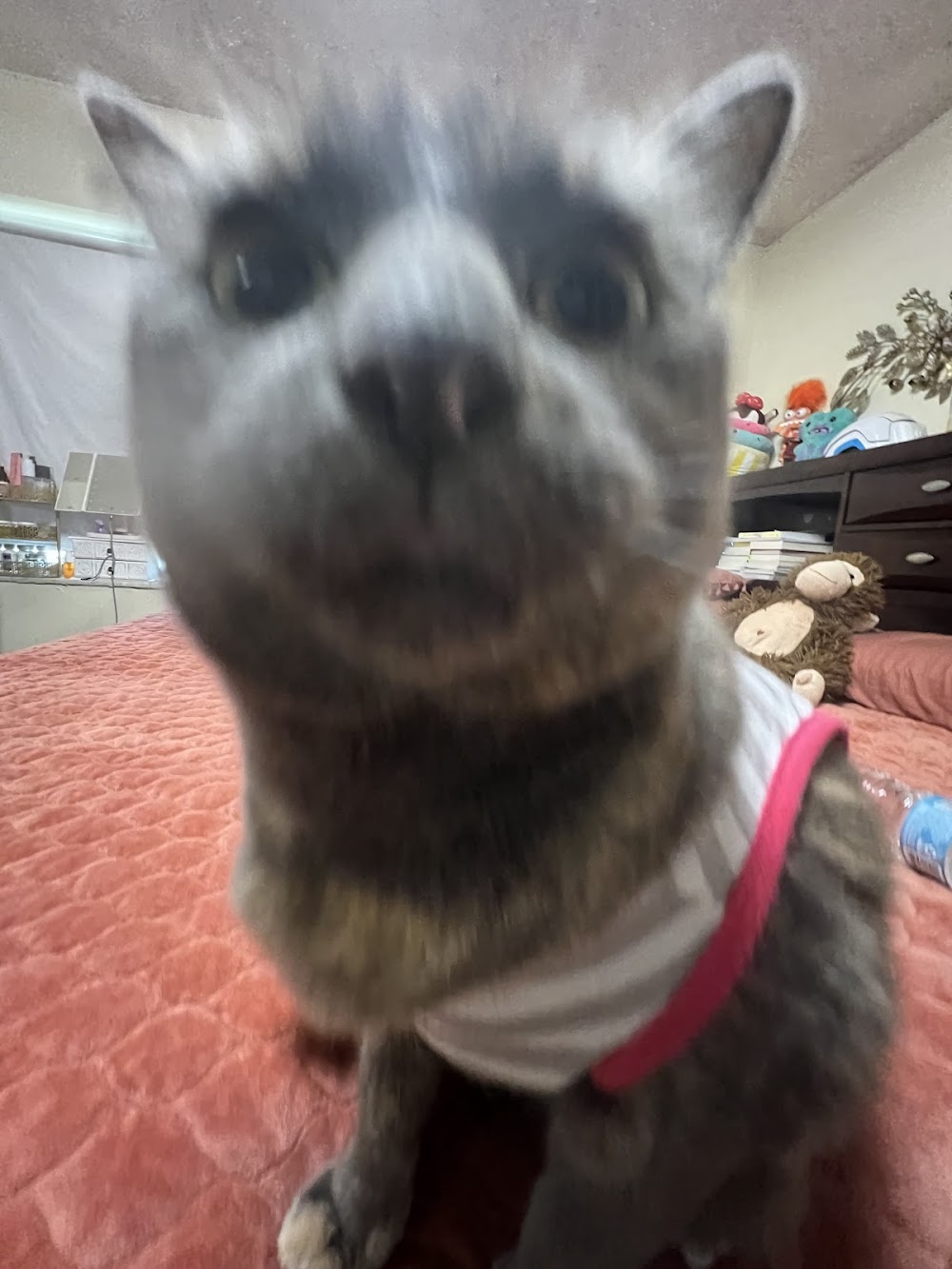 Bright Plastic Surgery