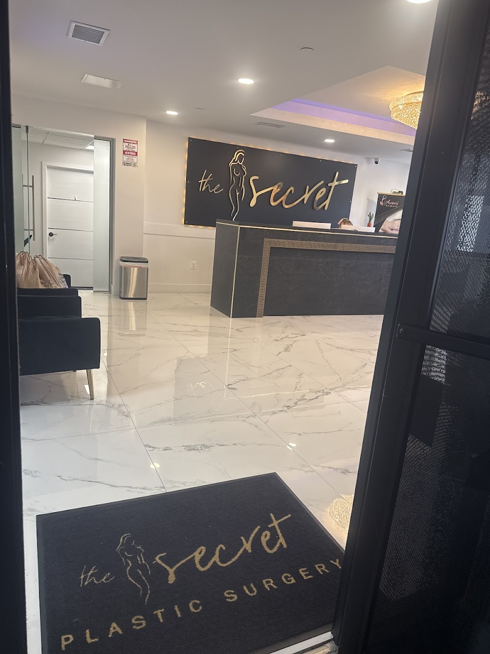 The Secret Plastic Surgery